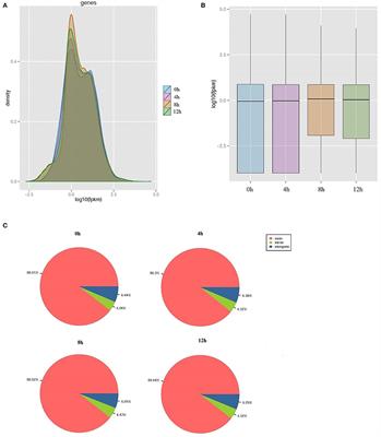 Integrated Analysis of Transcriptome mRNA and miRNA Profiles Reveals Self-Protective Mechanism of Bovine MECs Induced by LPS